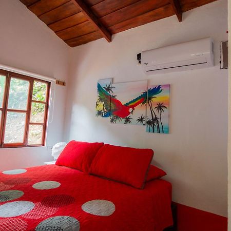Selva Color - Forest & Beach Ecolodge Quebrada Ganado Pokoj fotografie