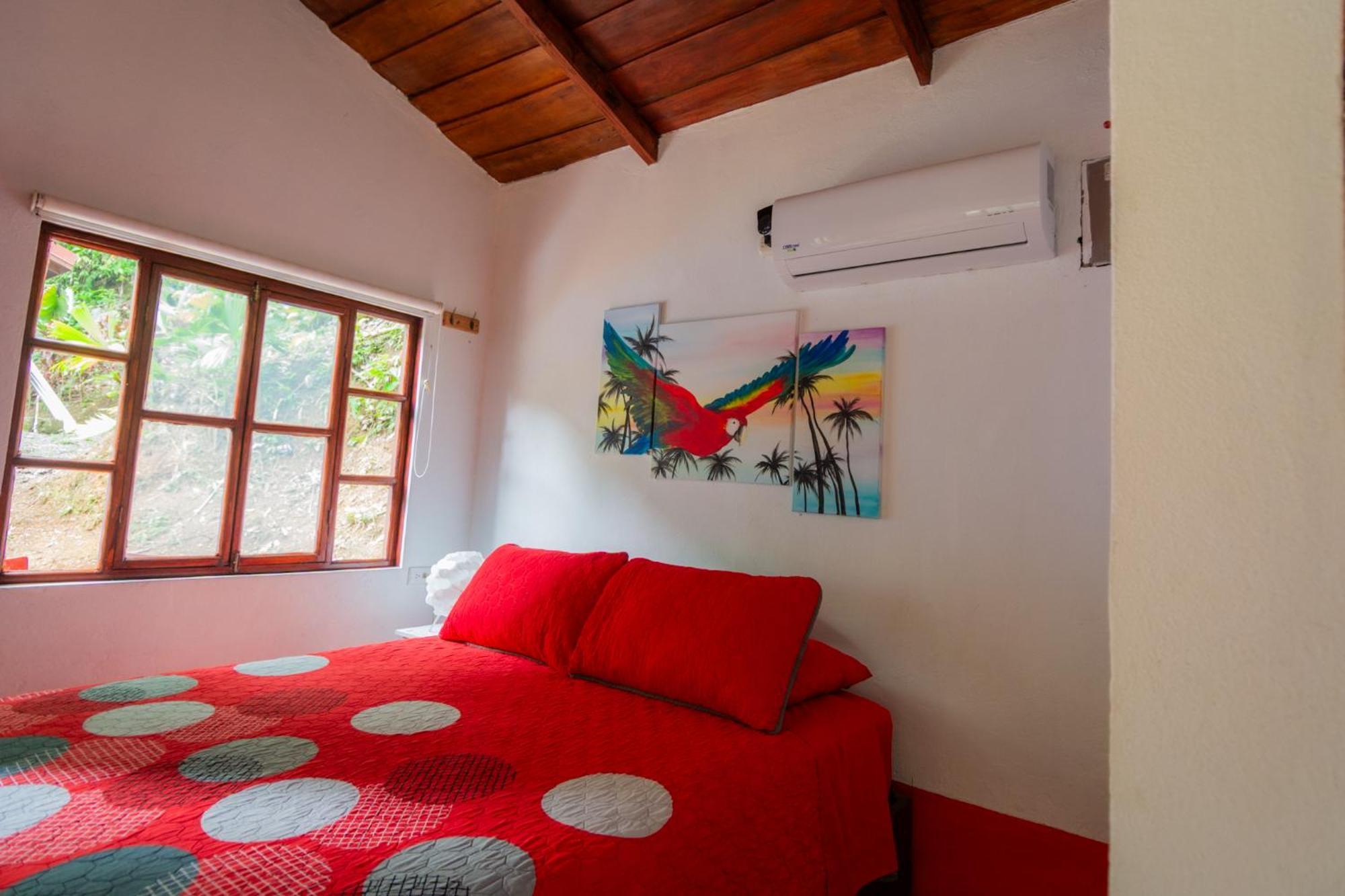Selva Color - Forest & Beach Ecolodge Quebrada Ganado Pokoj fotografie